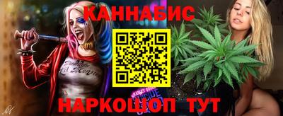 сатива Будённовск